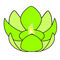 Водный Фонарик Лотос Lime Green