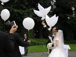 Купить БИО Воздушный Шар Свадебный Голубь