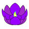 Водный Фонарик Лотос Purple
